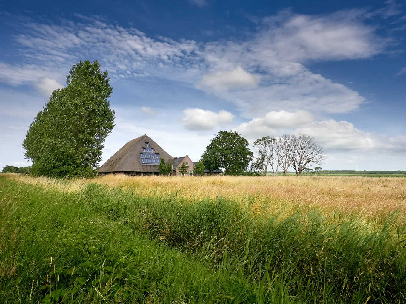 Retreat location - the Netherlands